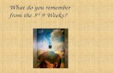 What do you remember    from the 3 rd  9 Weeks?