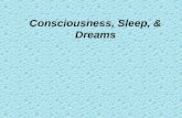 Consciousness, Sleep, & Dreams