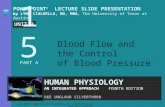 Blood Flow and the Control  of Blood Pressure