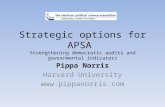 Strategic options for APSA  Strengthening democratic audits and governmental indicators