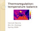 Thermoregulation:  temperature balance