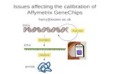 Issues affecting the calibration of Affymetrix GeneChips harry@essex.ac.uk