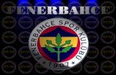 Fenerbahçe is professional sports club