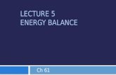 Lecture 5 Energy Balance