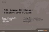 SQL Azure Database: Present and Future