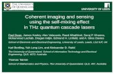 Coherent imaging and sensing using the self-mixing effect in THz quantum cascade lasers
