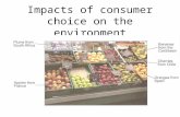 Impacts of consumer choice on the environment