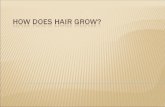How does hair grow?