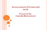 Assessment of head and neck Prepared By  Hamdia  Mohammed
