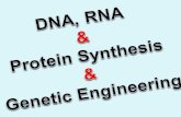 DNA, RNA & Protein Synthesis & Genetic Engineering