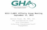 NICU CLABSI Affinity Group Meeting September 12, 2012