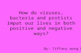 How do viruses, bacteria and protists impat our lives in both positive and negative ways?