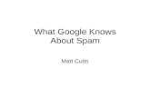 What Google Knows About Spam
