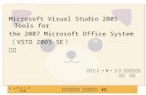 Microsoft Visual Studio 2005 Tools for  the 2007 Microsoft Office System （ VSTO 2005 SE ） 概要