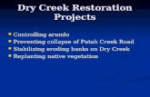 Dry Creek Restoration Projects