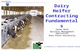 Dairy Heifer Contracting Fundamentals