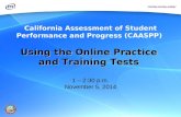 Using the Online Practice  and Training Tests  1 – 2:30 p.m. November 5, 2014