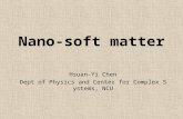 Nano-soft matter