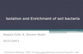 Isolation  and Enrichment of soil bacteria