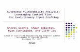 Automated Vulnerability Analysis:  Leveraging Control Flow  for Evolutionary Input Crafting