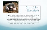 Ch. 10-  The Mole
