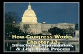 How Congress Works Chapter 13