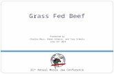Grass Fed Beef
