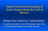 Neural Network Forecasting of Storm Surges along the Gulf of Mexico