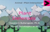 Plant Defenses  Vasakorn Bullangpoti, Ph.D. Email: fscivkb@ku.ac.th