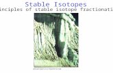 Stable Isotopes Principles of stable isotope fractionation