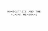 HOMEOSTASIS AND THE PLASMA MEMBRANE