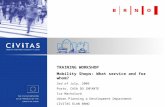 TRAINING WORKSHOP  Mobility Shops: What service and for whom? 3rd  of J uly , 2009