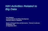 NIH Activities Related to  Big Data