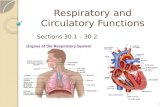 Respiratory and Circulatory Functions