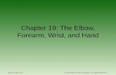 Chapter 19: The Elbow, Forearm, Wrist, and Hand