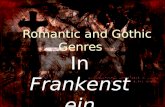 Romantic and Gothic Genres