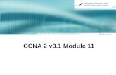 CCNA  2  v3. 1  Module 11