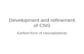 Development and refinement of CNS