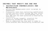 ENZYMES THAT MODIFY DNA AND RNA 1.  RESTRICTION ENDONUCLEASES AND METHYLASES