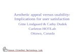 Aesthetic appeal versus usability: Implications for user satisfaction
