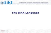 The BinX Language