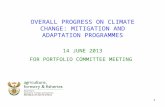 OVERALL PROGRESS ON CLIMATE CHANGE: MITIGATION AND ADAPTATION  PROGRAMMES 14 JUNE 2013