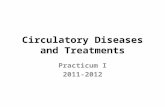 Circulatory Diseases and Treatments