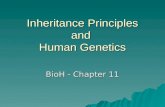 Inheritance Principles and  Human Genetics