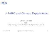 J-PARC and Dimuon Experiments