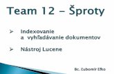 Team 12 - Šproty