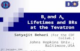B s  and  Λ b  Lifetimes and BRs at the Tevatron