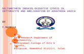 M.Sc., PG & Research Department of Biochemistry, Muthayammal  College of Arts & Science,