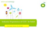 Industry Experience of CCS : In Salah