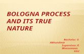 Bologna Process  and  its true nature